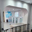 101애견유치원 이미지