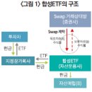 합성ETF 시장의 성장과 투자자 유의 사항 이미지