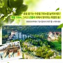 5월6월 용평리조트 숙박패키지 올라왔네요(피크아일랜드 워터파크2매무료권 포함) 이미지