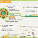 모닝시티2 이미지