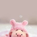 하늘돼지 이미지