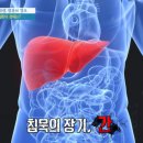 제이뷰짐 이미지