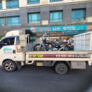 꼬끼오 이미지