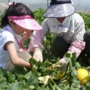 빗돌배기마을 이미지