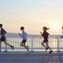 더건강한짐 이미지