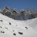 까치목장 이미지