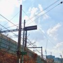 기응세선생묘 이미지