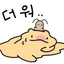 빡샵 네이버블로그