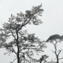 화순 부춘정 이미지