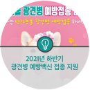 이의종동물병원 네이버블로그