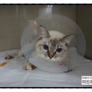 미드미 동물의료센터 이미지