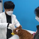 중랑차동물병원 이미지