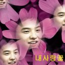 도우리 이미지