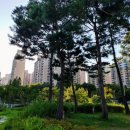 수리고등학교 이미지