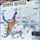 [3월11일] 포항 오어지 둘레길 봄맞이산행 이미지