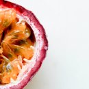 달콤후르츠달콤Fruit
