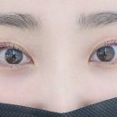 한올, 그리다 네이버블로그