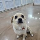 뉴페이스 이미지