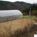 강변가든 이미지