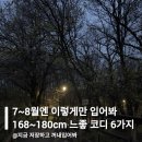 41190-01-07-180 | 7~8월엔 이렇게만 입어보세요! 168~180cm 느좋 코디 6가지 추천해줄게요!