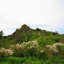 지리산 토비스 콘도 이미지