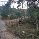 금산-52 네이버블로그