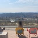 매화랜드 | 에버랜드 하늘정원길 후기(매화 개화율, 주차, 예약)