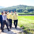 남해-남해-남해-비-7 이미지