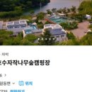 청계호수 자작나무숲 펜션 이미지