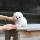 요녀석(하남점) 이미지