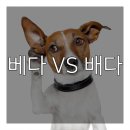 연세아이나라치과의원 이미지