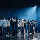 세븐틴벌스데이