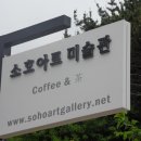소호호 Daum카페