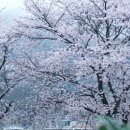 스튜디오올봄