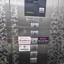 야옹아 멍멍해봐 뷰티 이미지