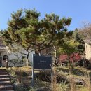 닻미술관 | 경기 광주 가볼만한 곳 서울 근교 나들이 닻미술관, 카페 돛 (입장료, 주차)