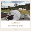 청솔수석박물관 | [김천] 청솔 수석 박물관, 캠핑장 방문 후기!