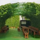 시흥시 치매안심센터(정왕센터) 이미지