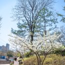 원주천3길 이미지