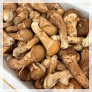 세포농장 | 서로서로농장 국내산 참송이버섯 1kg 먹는법 보관법 손질 방법 후기
