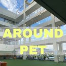 어라운드1142 이미지