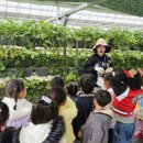 센텀파랑새어린이집 이미지