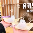 [서울/마포] 연남동 젤라또 모찌 전문점, 유키모찌 방문 후기
