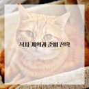 웰빙건강 식단 네이버블로그