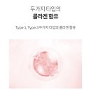 인셀덤순수 | [인셀덤 ICD 콜라겐 100 멜팅 마스크] 리뉴얼 후기, 갱년기 탄력 홈케어 필수템!