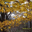 화천3리 경로당 이미지