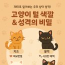 털보신집 이미지