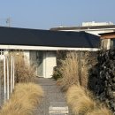 제주신촌돌집독채민박 | [제주] 제주 감성 독채 숙소 <아일안> 혼여 숙박 후기
