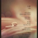 누가울어new- 정서주-서주향기여^^널리널리 퍼져라^^♡ 이미지