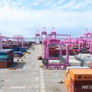 인천컨테이너터미널노동조합 이미지